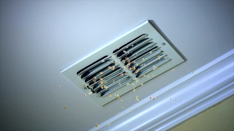 Best Air Duct Cleaning Near Me  in Spring Green, WI